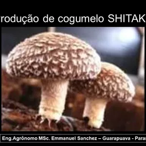 Curso de Produção de Cogumelo SHITAKE
