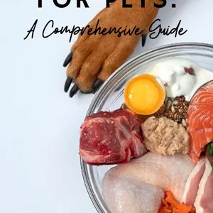 Cover image for Ebook BARF Diet: A Comprehensive Guide