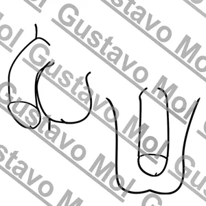 Imagem de capa para o Curso online Pênis