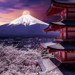 Imagem de capa para o Ebook “Japonês em 7 Dias: 100 Frases para Sobreviver no Japão Sem Saber Gramática”