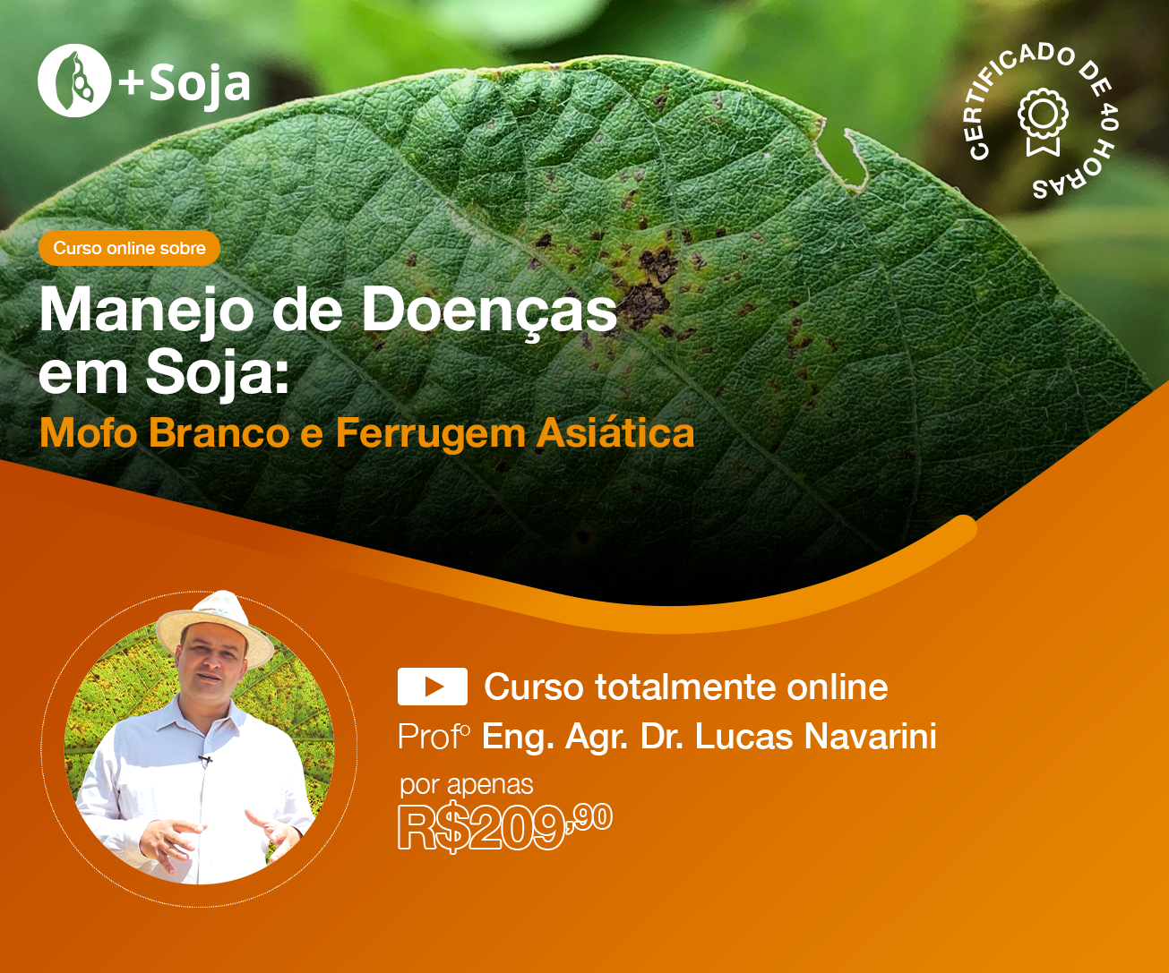 Imagem do curso Manejo de Doenças em Soja: Mofo branco e Ferrugem asiática 