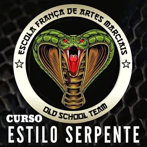 Imagem de capa para o Curso online Curso Completo de Kung Fu Estilo Serpente