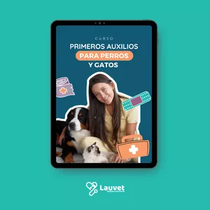 Imagen de portada para Curso online Primeros auxilios para perros y gatos 04577