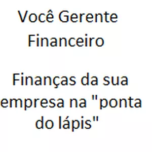 Imagem do curso Você Gerente Financeiro - Finanças para gerentes de pequenas e médias empresas