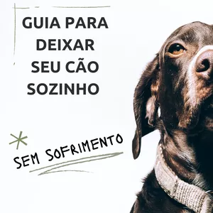 Imagem de capa para o Ebook Guia: deixe seu cão sozinho sem sofrer