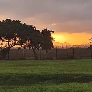 Imagen de portada para Ebook Fotografía urbana