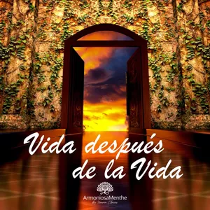 Imagen de portada para Curso online Vida después de la vida