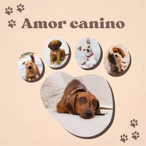 Imagen de portada para Curso online Cuidado canino