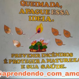 Imagem de capa para o Ebook Painel Queimadas