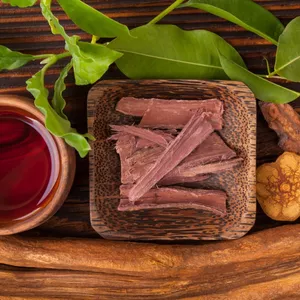 Imagen de portada para Curso online Ayahuasca: El Despertar de La Serpiente Cósmica