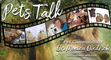 Pets Talk logo