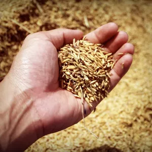 Imagen de portada para Curso online Cículo de manifestación y abundancia