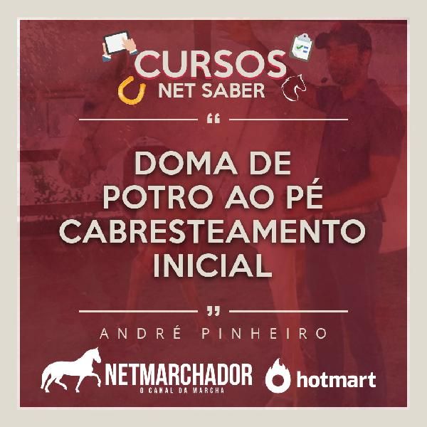 Capa do curso 