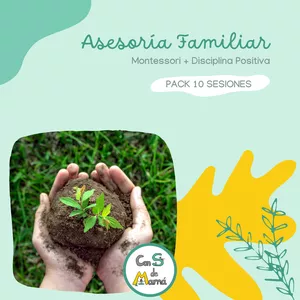 Imagen de portada para Ebook ASESORÍA FAMILIAR (PACK 10 SESIONES)
