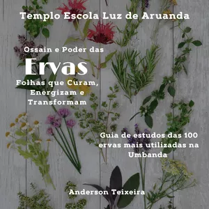 Imagem de capa para o Ebook Ossain e o Poder das Ervas, Folhas que Curam, Energizam e Transformam