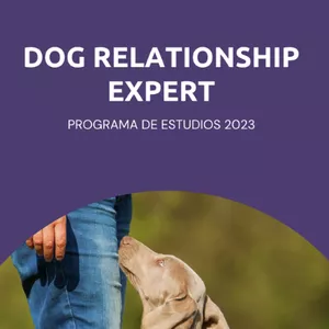 Imagen de portada para Curso online Dog Relationship Expert 