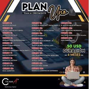 Imagen de portada para Curso online Sistema TDC