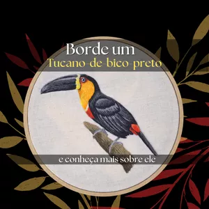 Imagem de capa para o Ebook Borde um tucano-de-bico-preto e conheça mais sobre ele