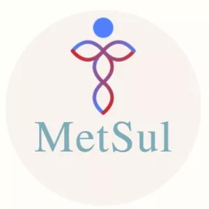 Imagen de portada para Curso online MetSul