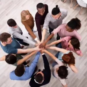 Imagem do curso Colaboração: desenvolvendo habilidades essenciais para o mundo contemporâneo