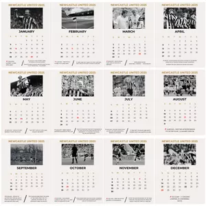 Cover image for Ebook NUFC 2025 Wall Calendar PDF