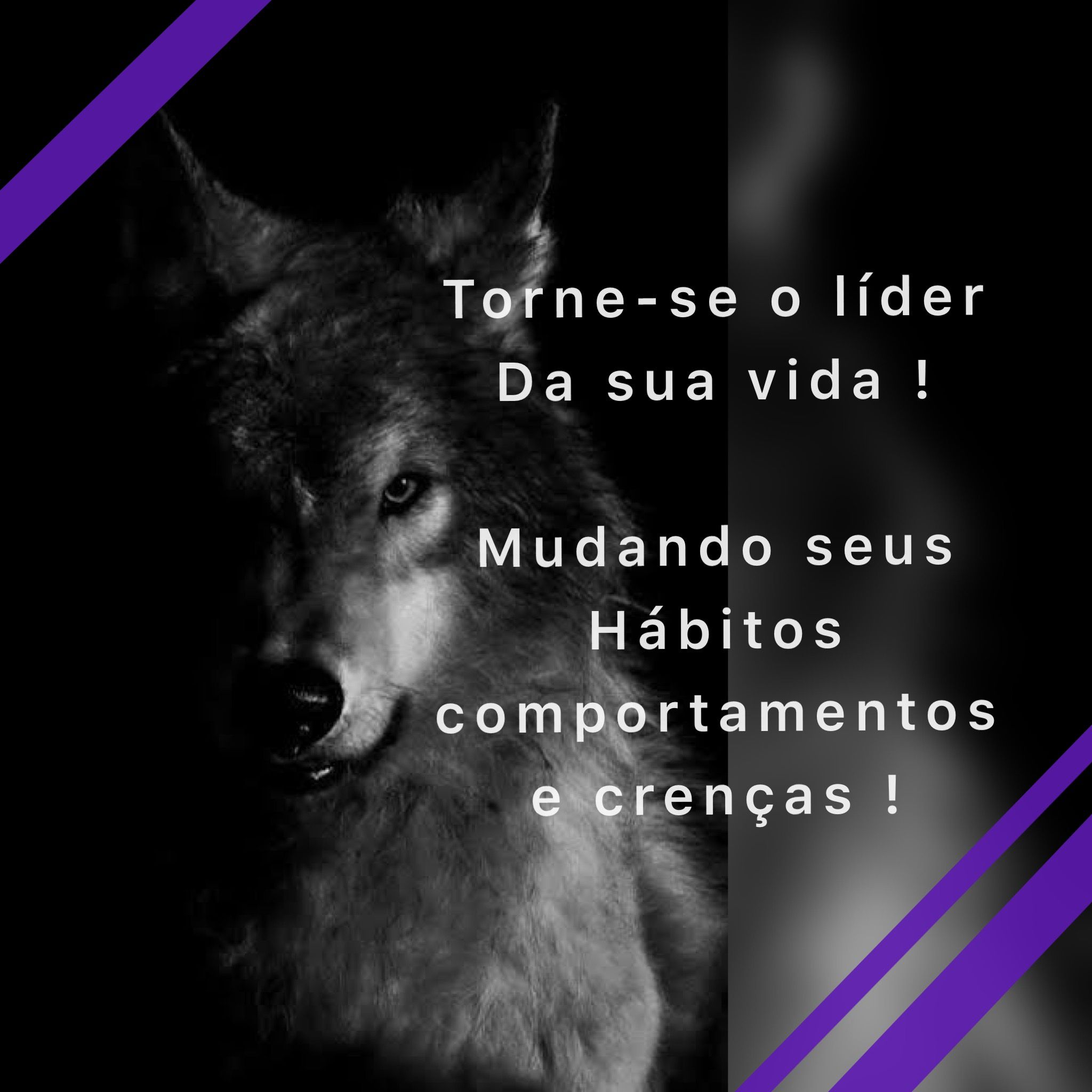 Imagem do curso Torne-se o Líder da sua vida!