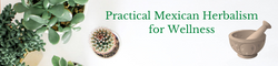 Practical Mexican Herbalism for Wellness