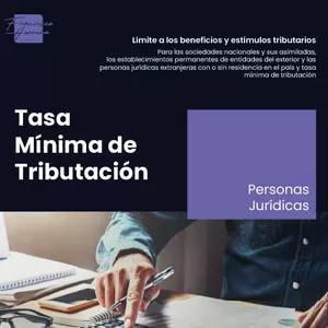 Imagen de portada para Ebook Tasa mínima de tributación