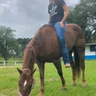 Foto do autor Nathalie Gastl