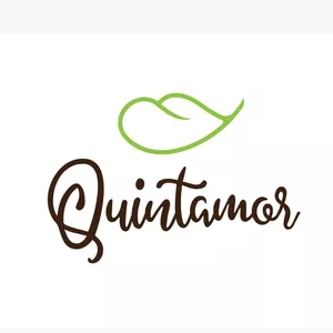 Imagem de capa para o Curso online Quintamor 