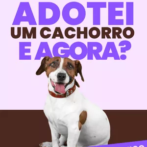 Imagem de capa para o Ebook Adotei um cachorro, e agora? 