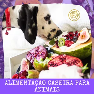 Imagem de capa para o Ebook Alimentação caseira para animais.