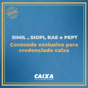 Imagem de capa para o Curso online SIMIL, SIOPI, RAE e PEPT 