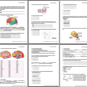 Imagem de capa para o Ebook 100 QUESTÕES DE NEUROLOGIA