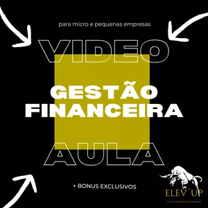 Imagem de capa para o Curso online Aula de gestão financeira para empresas