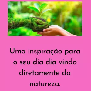 Imagem de capa para o Curso online Meditação da natureza 