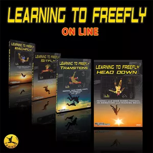Cover image for Online course LEARNING TO FREEFLY
