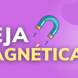 Seja Magnética