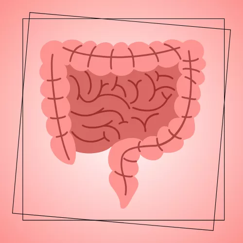 Curso de Reeducação Alimentar com Autoconhecimento | Nutricionista Ingrid Pfeifer | Caminho VIDA