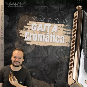 Imagem do curso Curso de Gaita Cromática