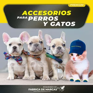 Imagen de portada para Curso online Accesorios para Perros y Gatos