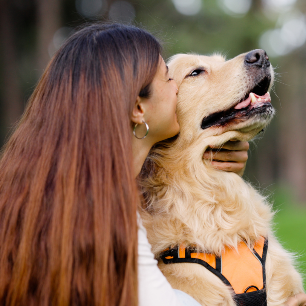  Mariana G. (Mamá de un Golden Retriever de 11 años)