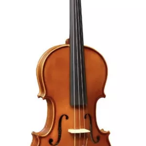 Imagem principal do produto Aprenda violino rápido 