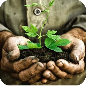 Imagem do curso Curso de Fertilidade do Solo e Nutrição de Plantas