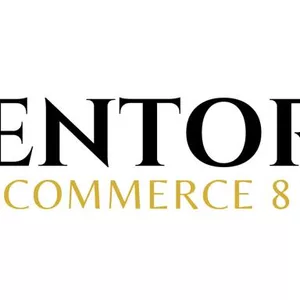 Imagen de portada para Curso online Mentoría E-commerce 8 Cifras