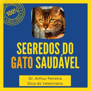 Imagem de capa para o Curso online MANUAL: Segredos do Gato Saudável - Passo a Passo