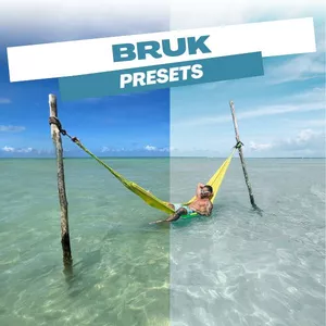 Imagem do curso BRUK PRESETS