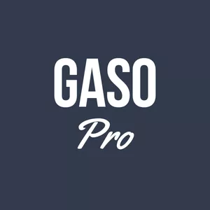 Imagem de capa para o Curso online Gaso Pro