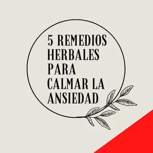 Imagem principal do produto 5 remedios herbales para calmar la ansiedad