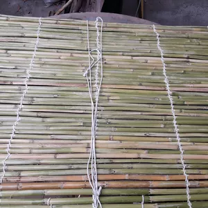 Imagen de portada para Curso online Cortina 